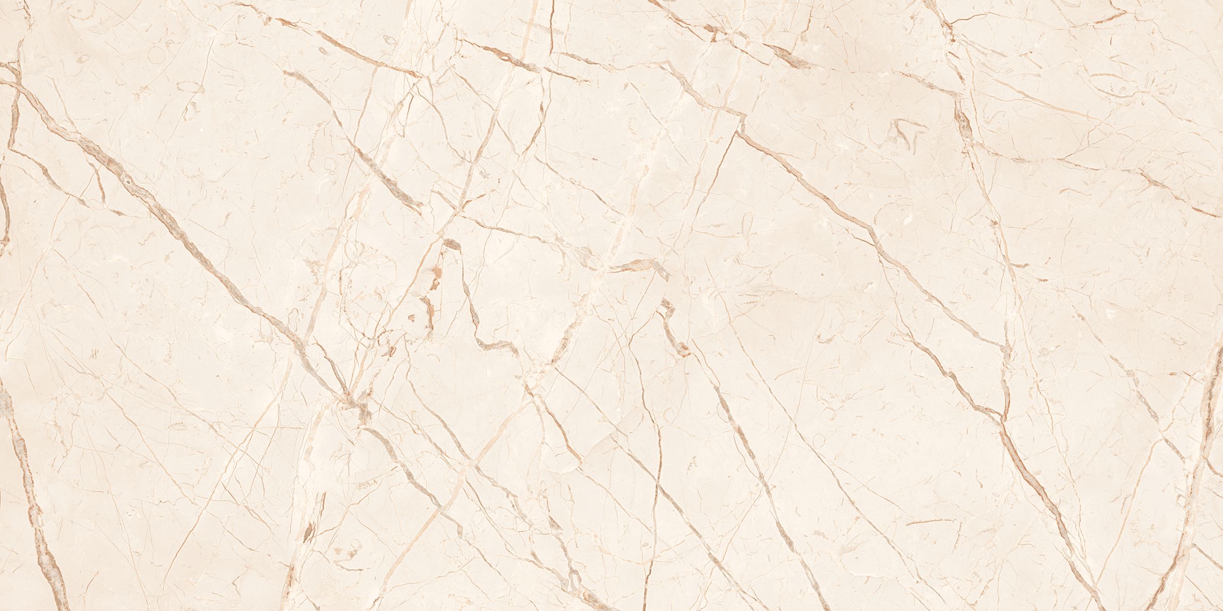 LET-60120-058